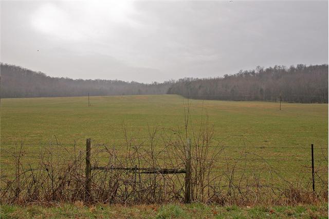 0 Dry Creek Road Pulaski, TN 38478 - Photo 4 of 20 Fenced and Cross Fenced Throughout