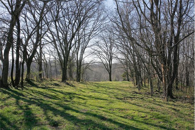 0 Dry Creek Road Pulaski, TN 38478 - Photo 5 of 20 Wooded Lanes Throughout