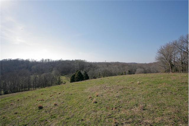0 Dry Creek Road Pulaski, TN 38478 - Photo 7 of 20 There is Always a Breeze Blowing on this Hill. Perfect Building Site!!