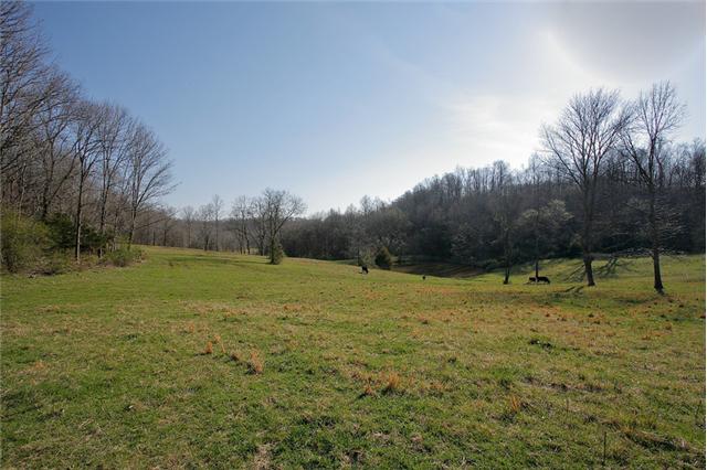 0 Dry Creek Road Pulaski, TN 38478 - Photo 9 of 20