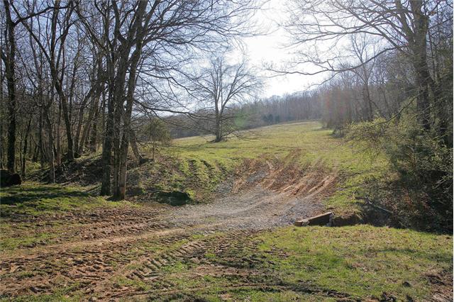 0 Dry Creek Road Pulaski, TN 38478 - Photo 10 of 20