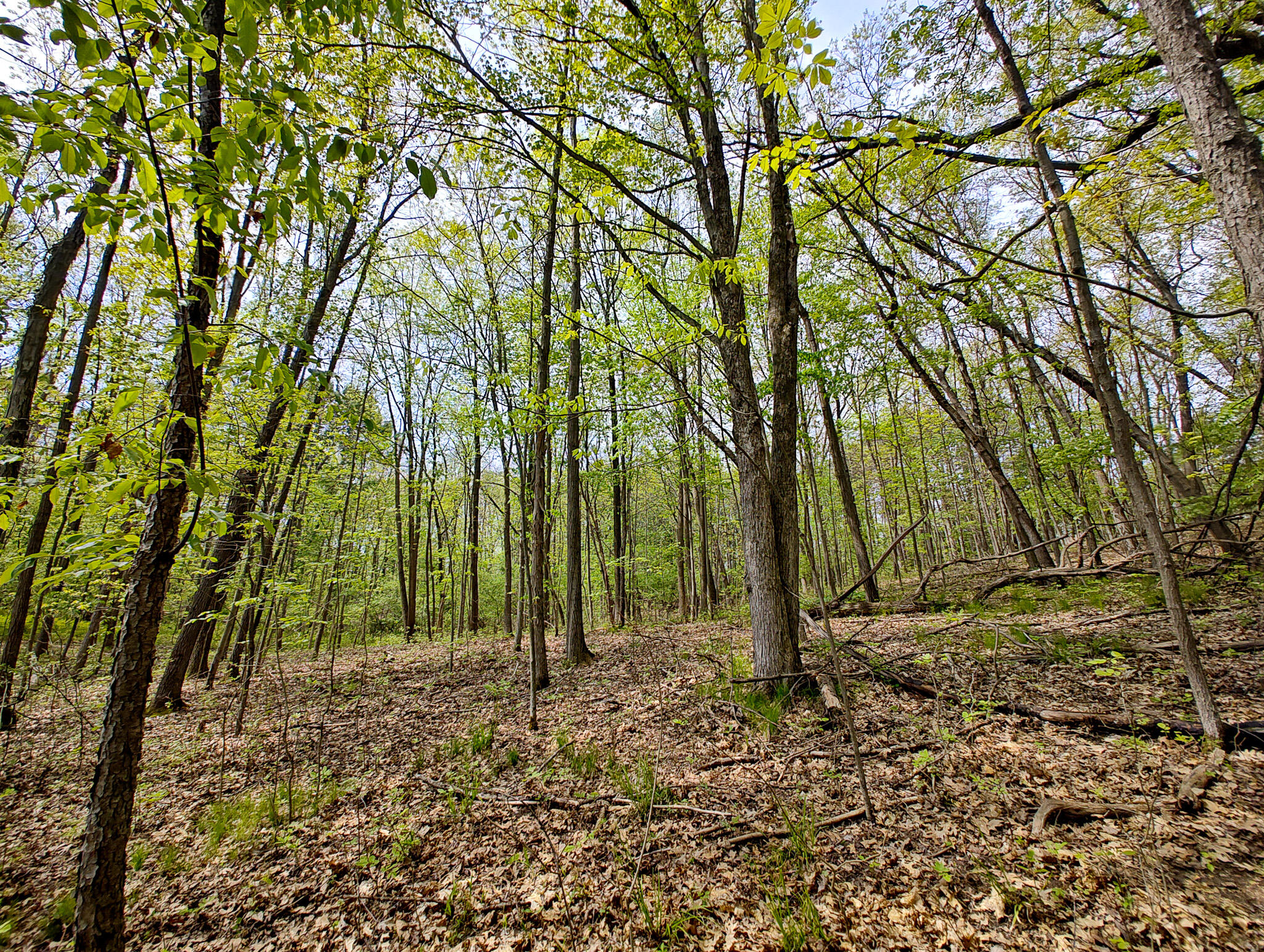 Tipsico Lake Road Fenton, MI 48430 - Photo 10 of 18 IMG_20260518_120120985_HDR