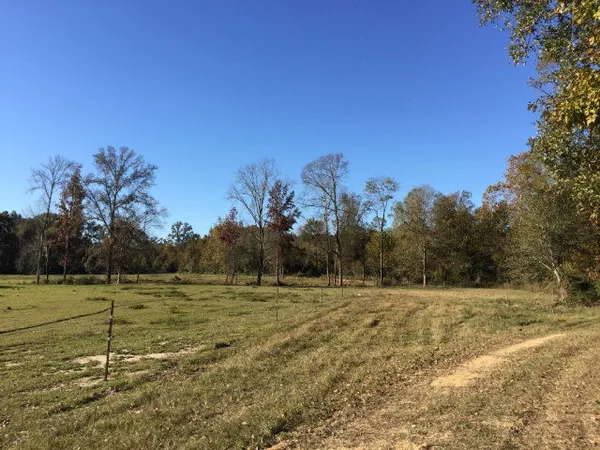 $479,000 | 0 Hwy 24/whites School Road, Centreville, MS 39631