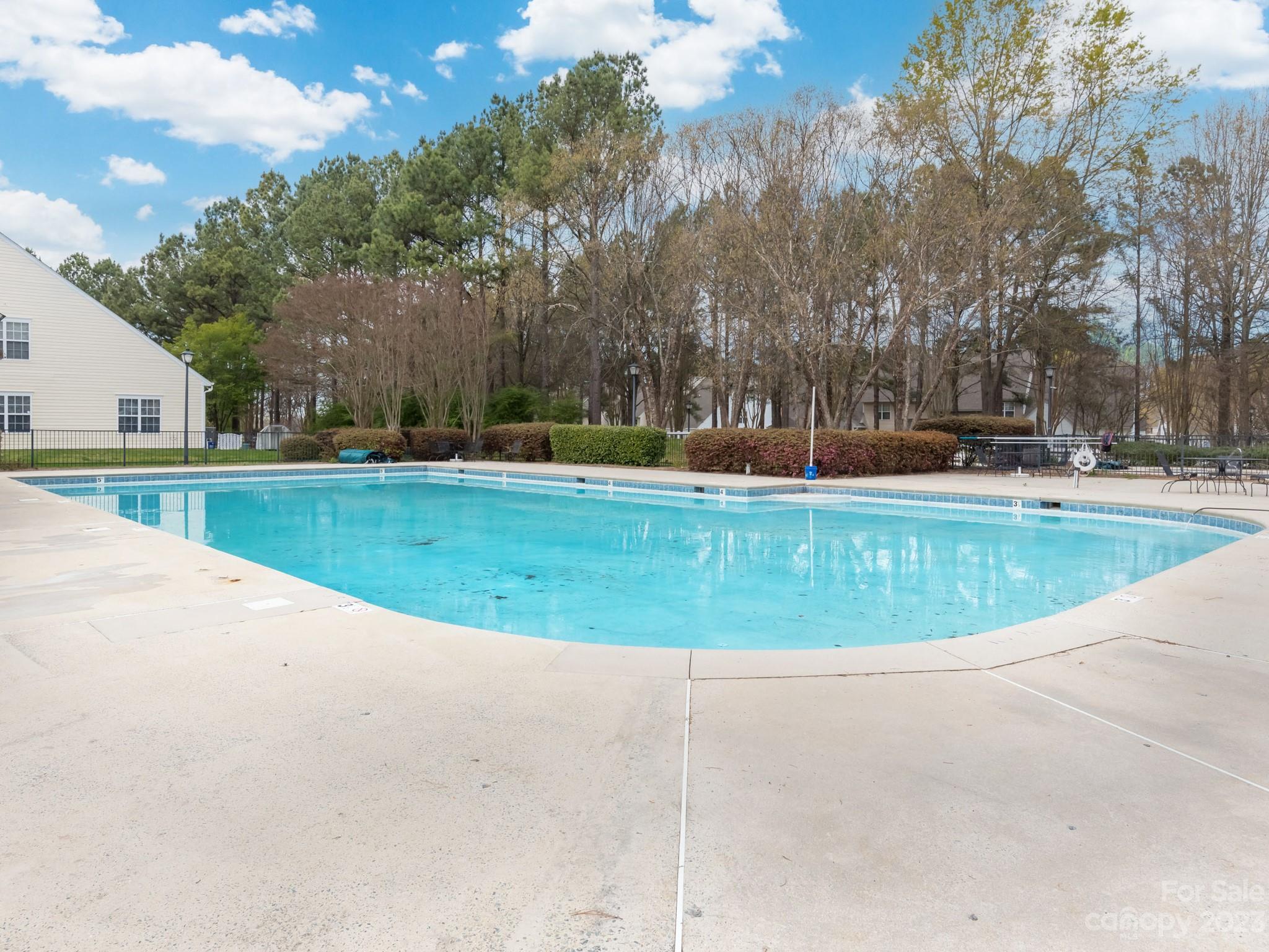 8158 Rudolph Road Charlotte, NC 28216 - Photo 20 of 23 a view of a swimming pool and trees