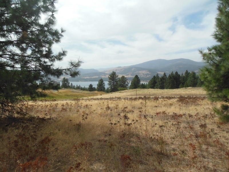 1700-c-1 Nickles Road Kettle Falls, WA 99141 - Photo 11 of 17 Gallery Image 11