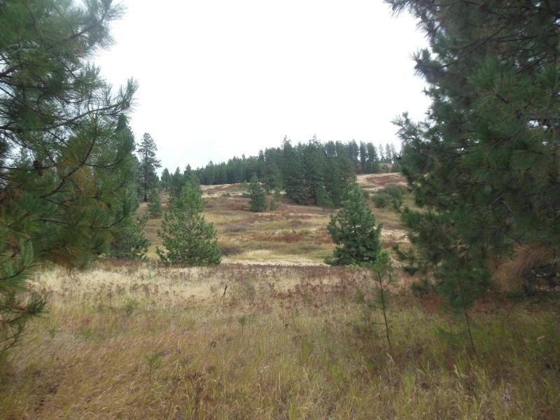 1700-c-1 Nickles Road Kettle Falls, WA 99141 - Photo 12 of 17 Gallery Image 12