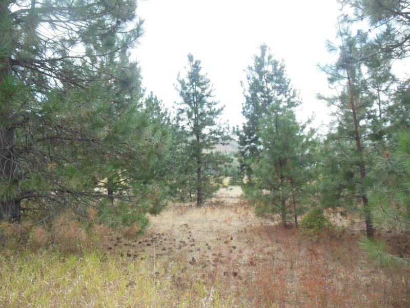 1700-c-1 Nickles Road Kettle Falls, WA 99141 - Photo 13 of 17 Gallery Image 13
