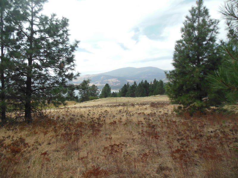 1700-c-1 Nickles Road Kettle Falls, WA 99141 - Photo 14 of 17 Gallery Image 14