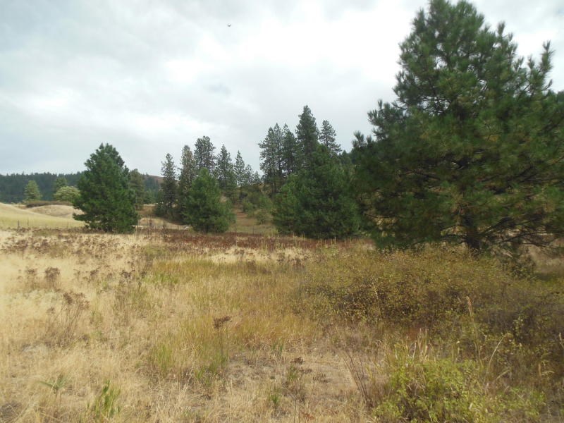 1700-c-1 Nickles Road Kettle Falls, WA 99141 - Photo 16 of 17 Gallery Image 16