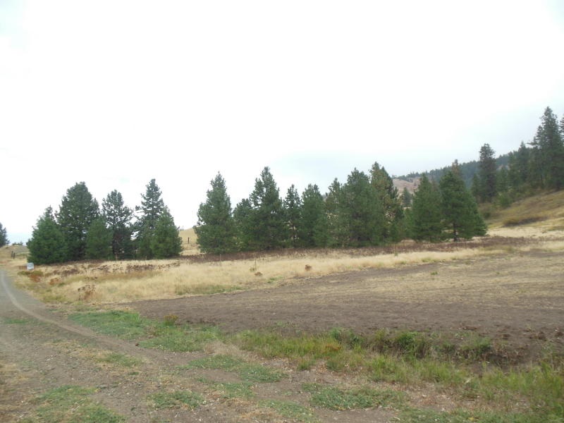 1700-c-1 Nickles Road Kettle Falls, WA 99141 - Photo 17 of 17 Gallery Image 17