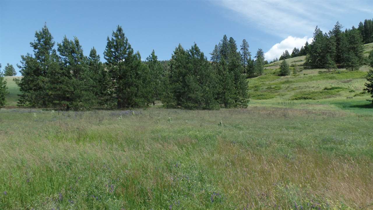 1700-c-1 Nickles Road Kettle Falls, WA 99141 - Photo 8 of 17 Gallery Image 8