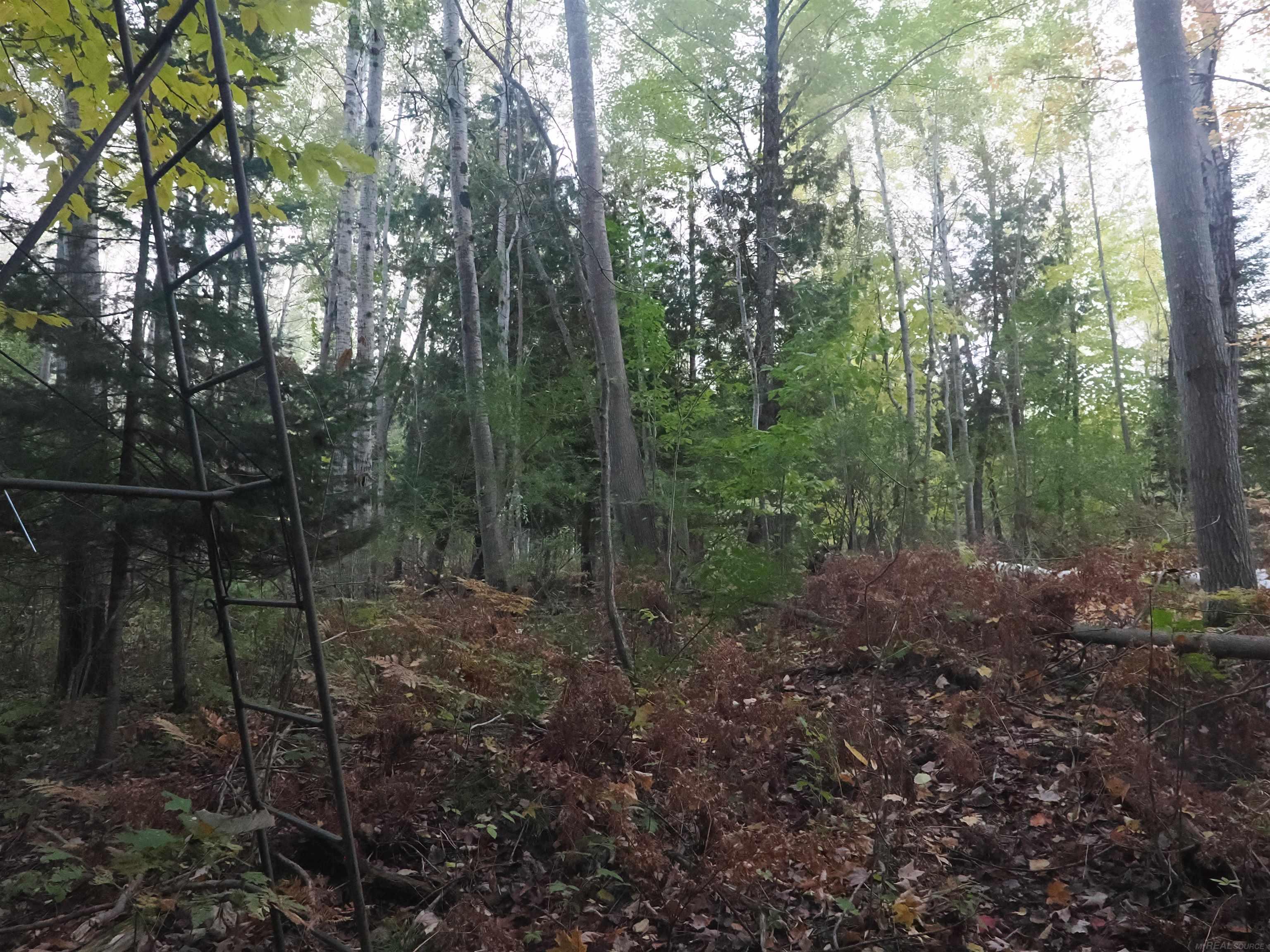 Xxx Tolan Road Spruce, MI 48762 - Photo 76 of 79
