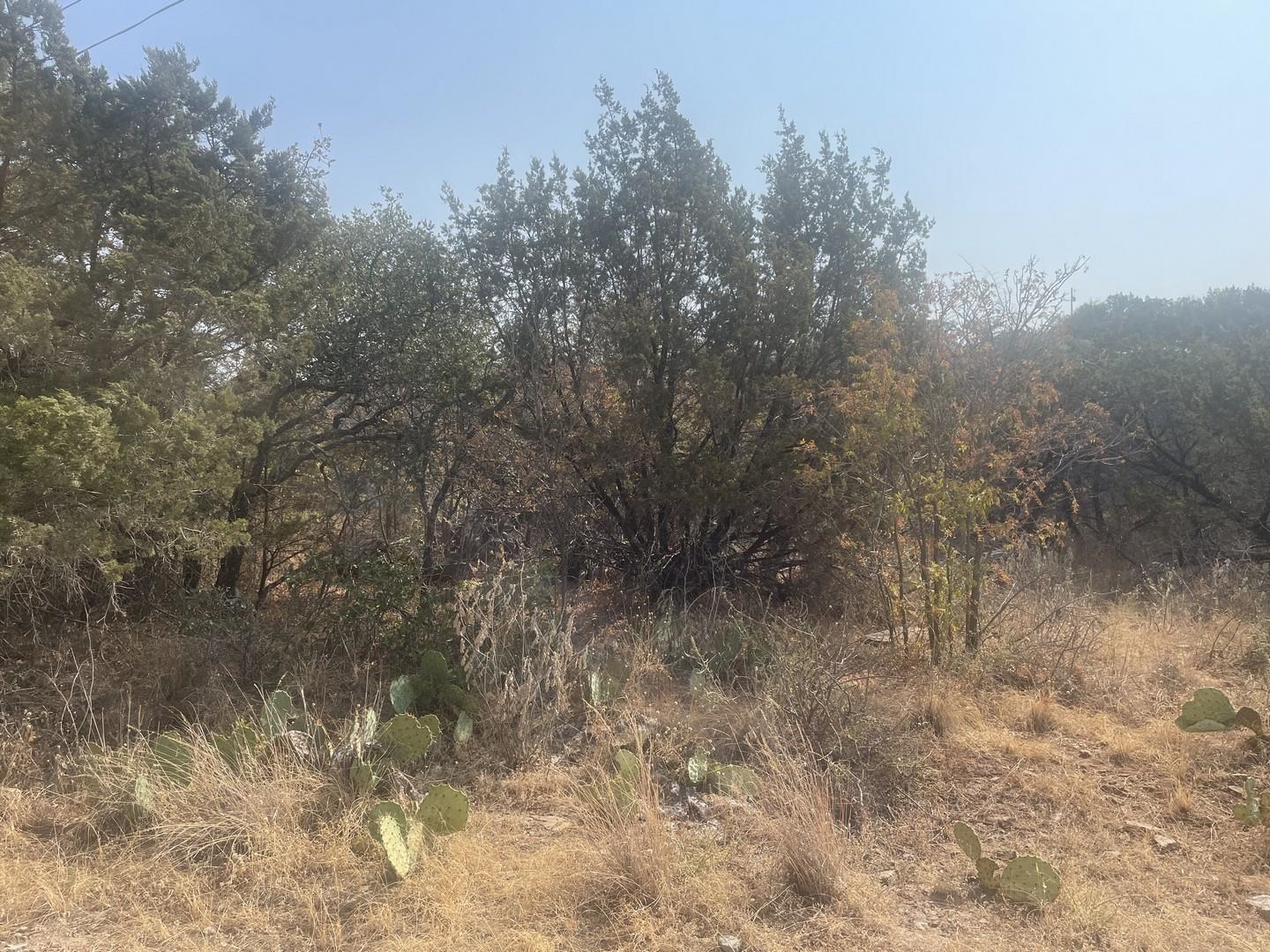 0 Radium Drive Burnet, TX 78611 - Photo 3 of 4 a view of a forest with trees in the background