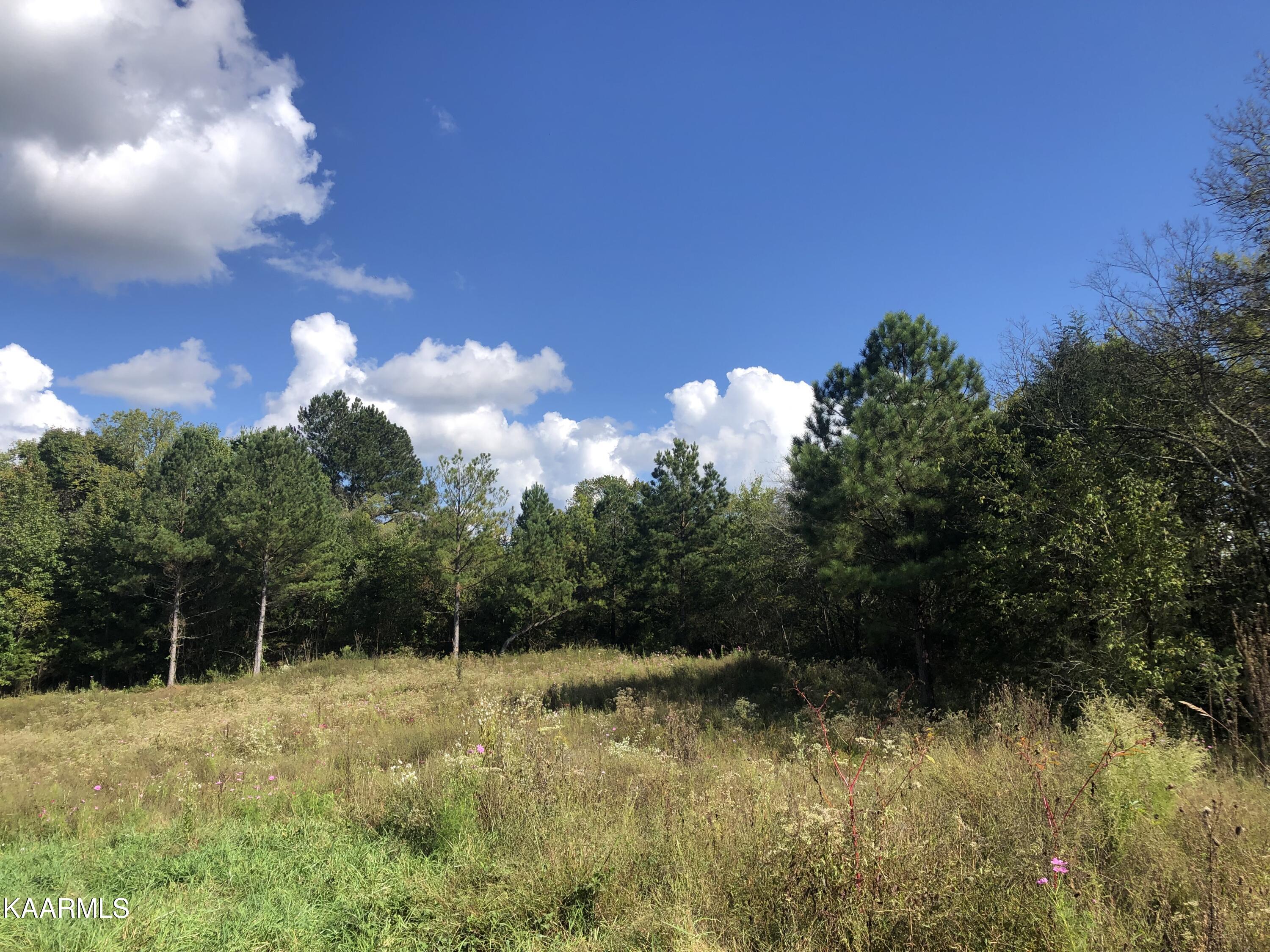Lot 6 Foshee Road Philadelphia, TN 37846 - Photo 3 of 12 IMG_3850