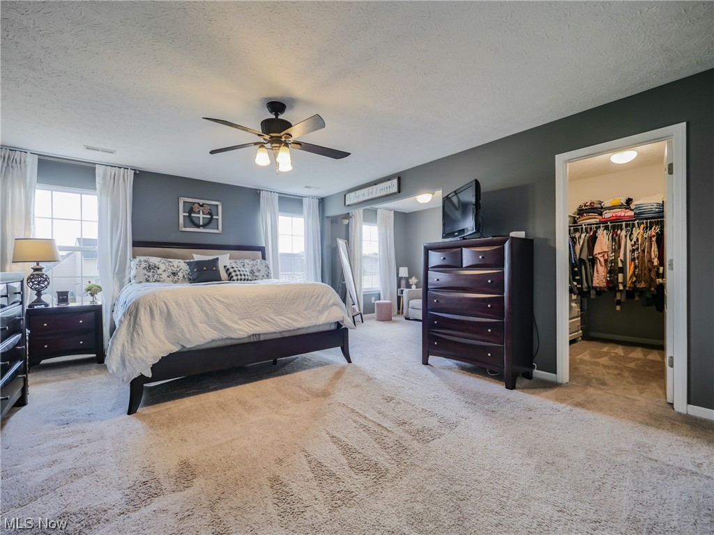 37571 Amber Way North Ridgeville, OH 44039 - Photo 17 of 35 Carpeted bedroom with multiple windows, a spacious closet, a closet, and ceiling fan