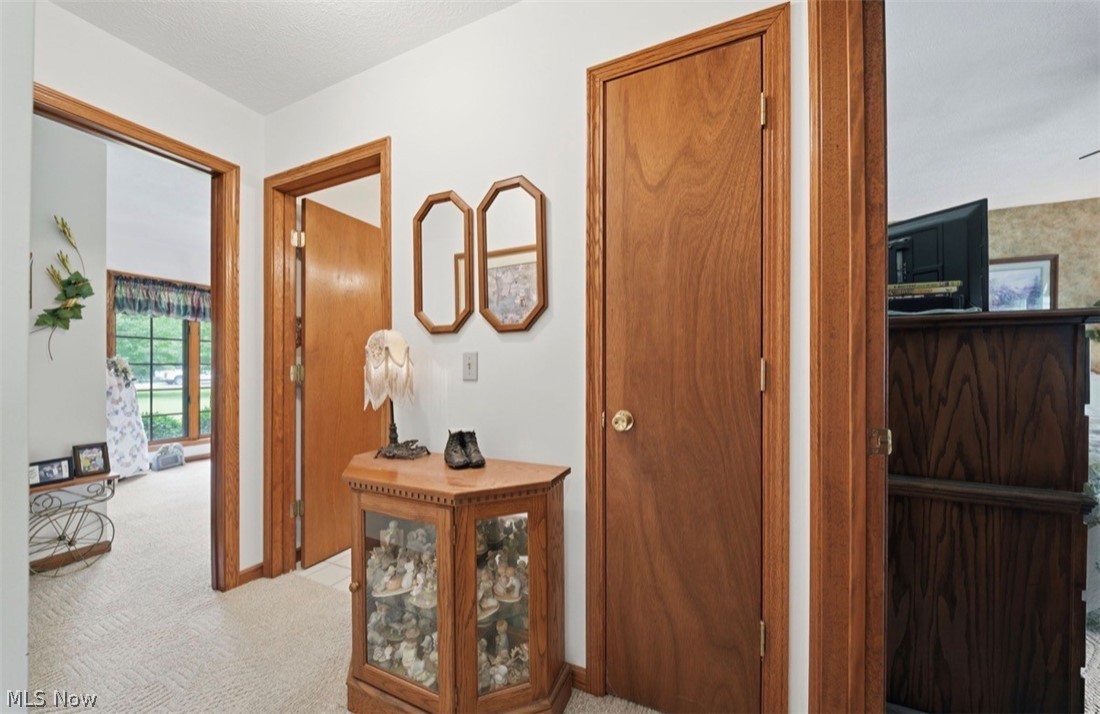 3556 Lake Road Conneaut, OH 44030 - Photo 22 of 39 Hallway featuring wood-finish door frames and doors, neutral carpet flooring, and white walls