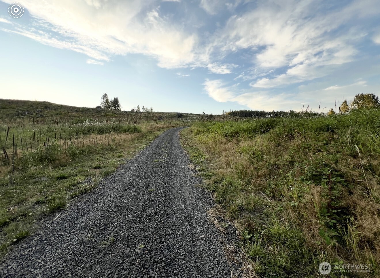 195 Hagen Road, Unit 82 Mossyrock, WA 98564 - Photo 2 of 4 a view of a dry yard with lots of trees