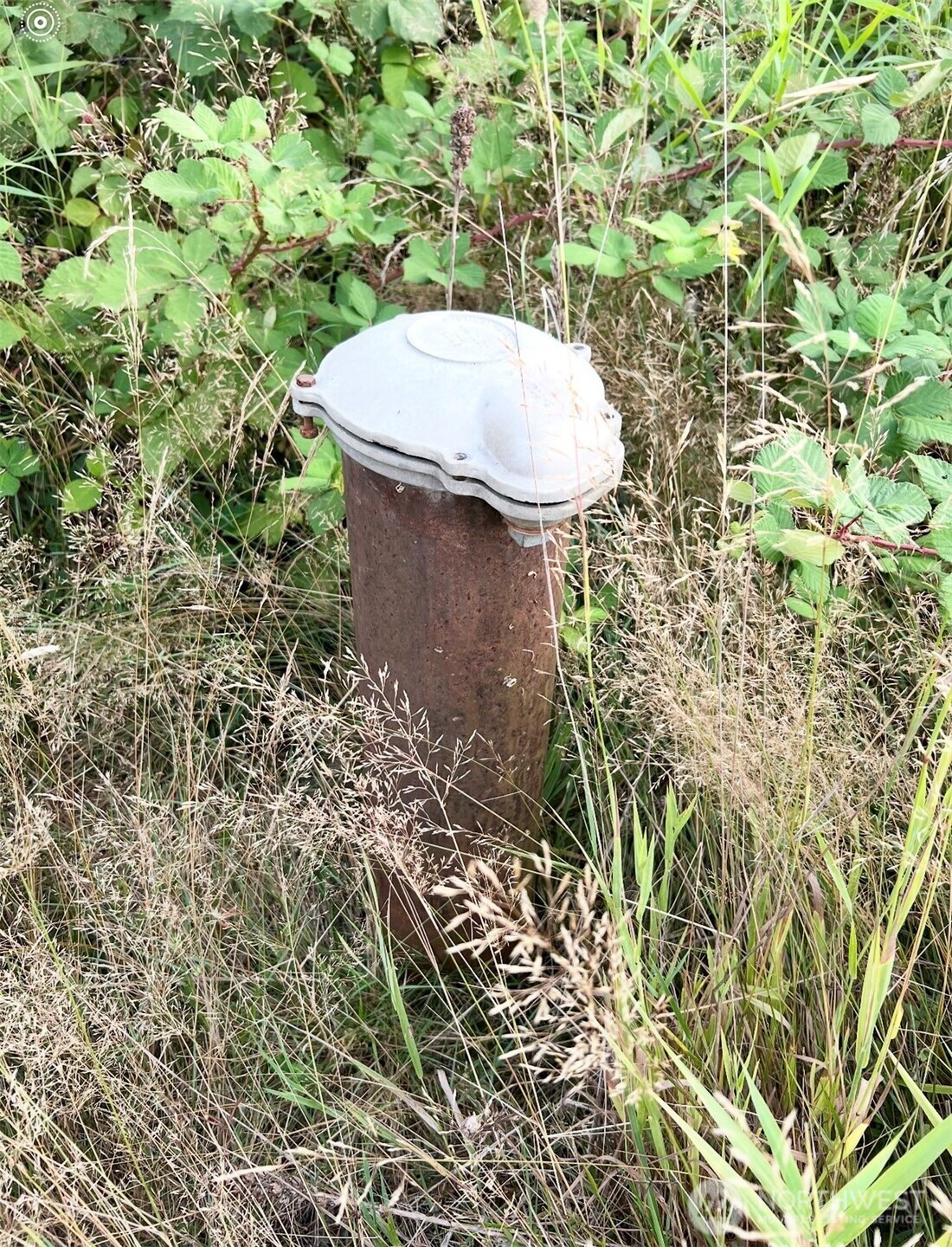 195 Hagen Road, Unit 82 Mossyrock, WA 98564 - Photo 4 of 4 a view of a fountain in the backyard of a house