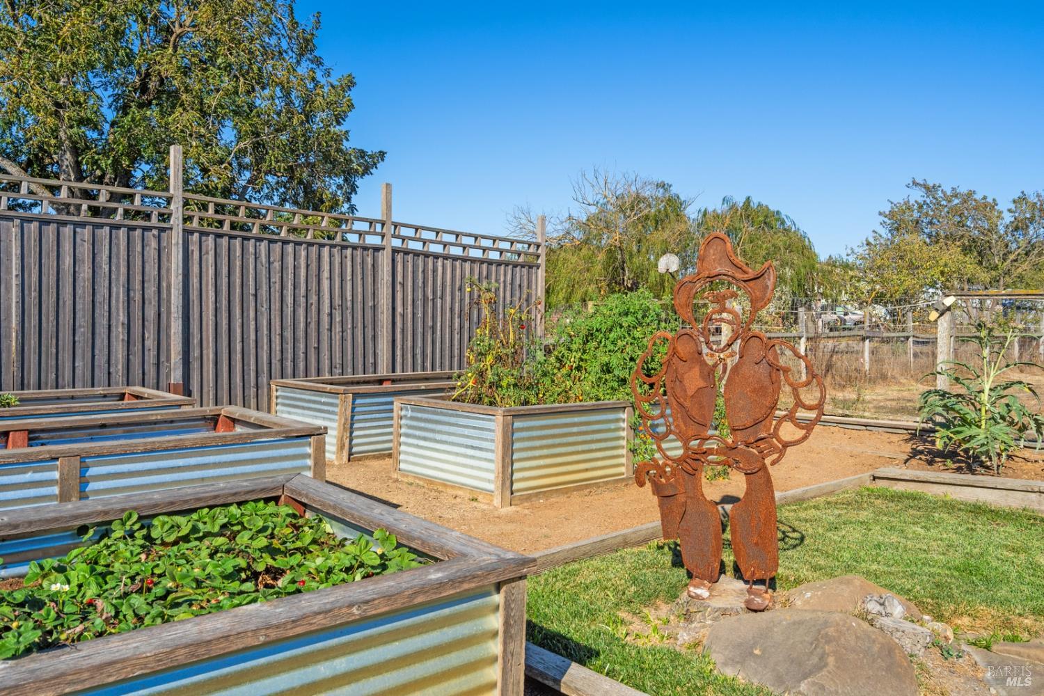5111 Todd Road Sebastopol, CA 95472 - Photo 8 of 62 Raised garden boxes