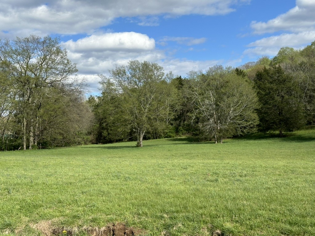0 Harpeth School Road Franklin, TN 37064 - Photo 17 of 45 Gallery Image 17