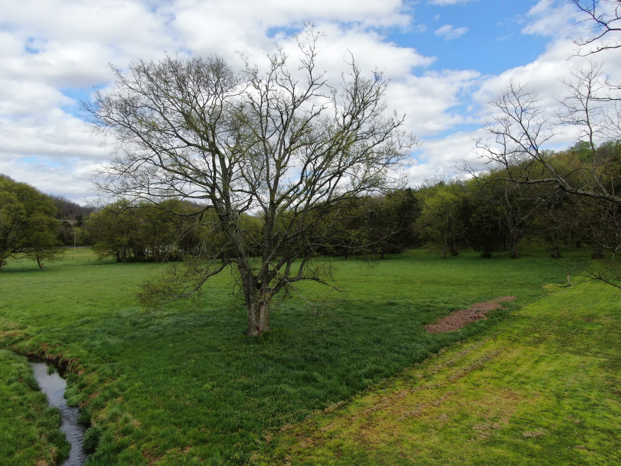 0 Harpeth School Road Franklin, TN 37064 - Photo 35 of 45 Gallery Image 35