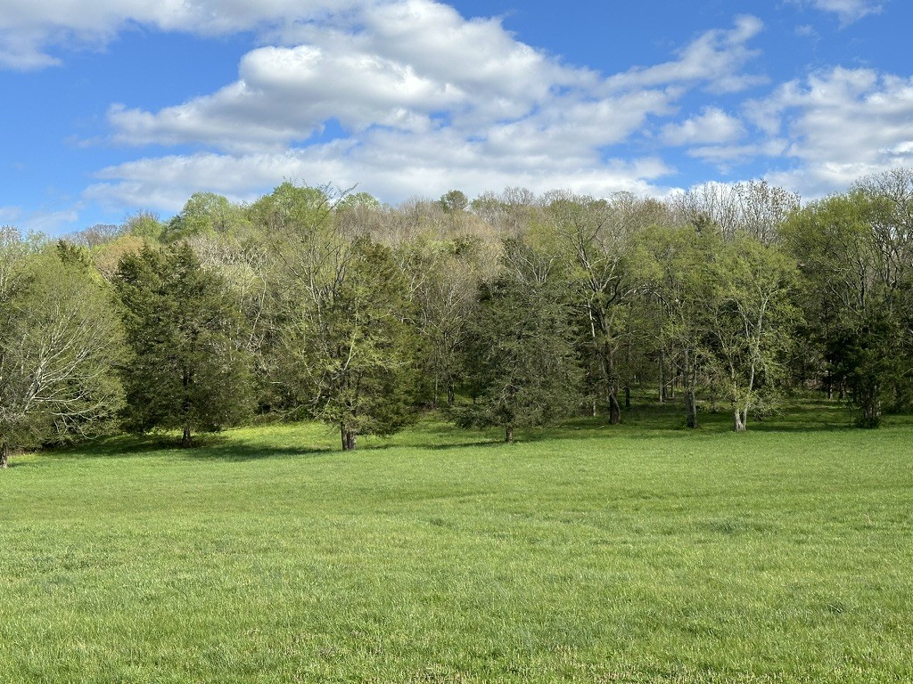 0 Harpeth School Road Franklin, TN 37064 - Photo 5 of 45 Gallery Image 5