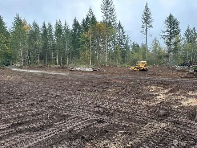 a view of backyard with trees