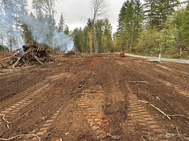 a view of a lake with a lush green forest