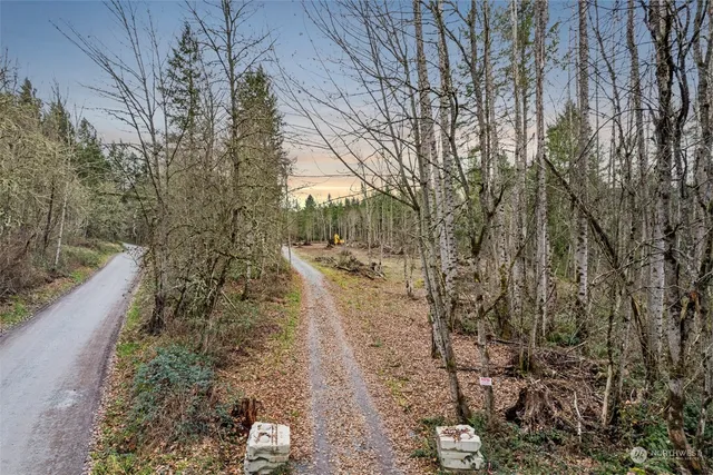 a view of a dirt road with trees in the background