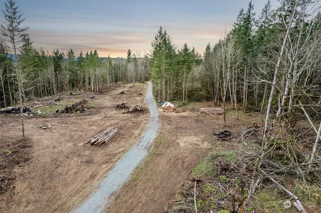 a view of a lake with a mountain
