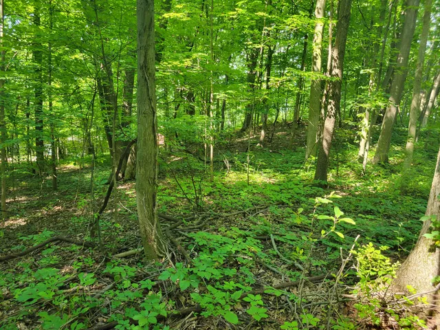 $42,000 | V/l Peterson Drive, Gobles, MI 49055