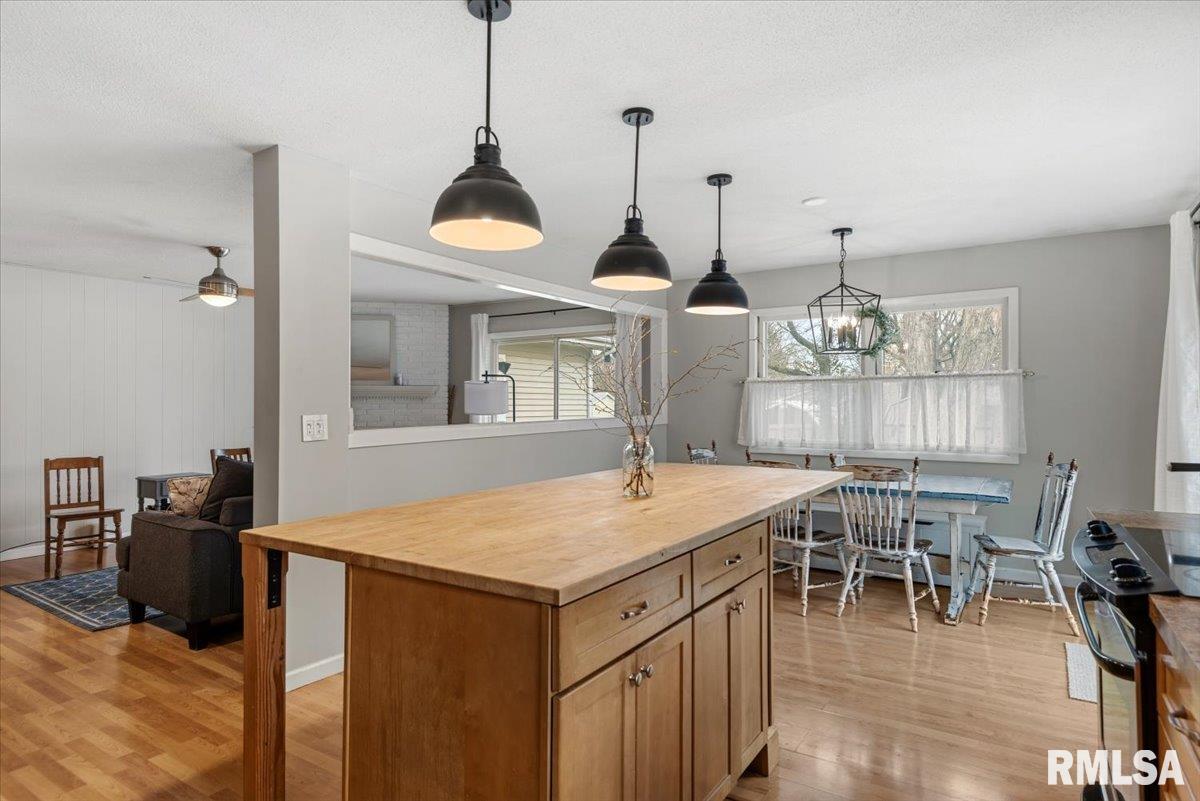 812 Roanoke Drive Springfield, IL 62702 - Photo 9 of 31