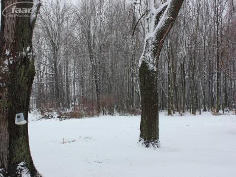 8260 Newburg Road Durand, MI 48429 - Photo 23 of 25 20348658-22.JPG