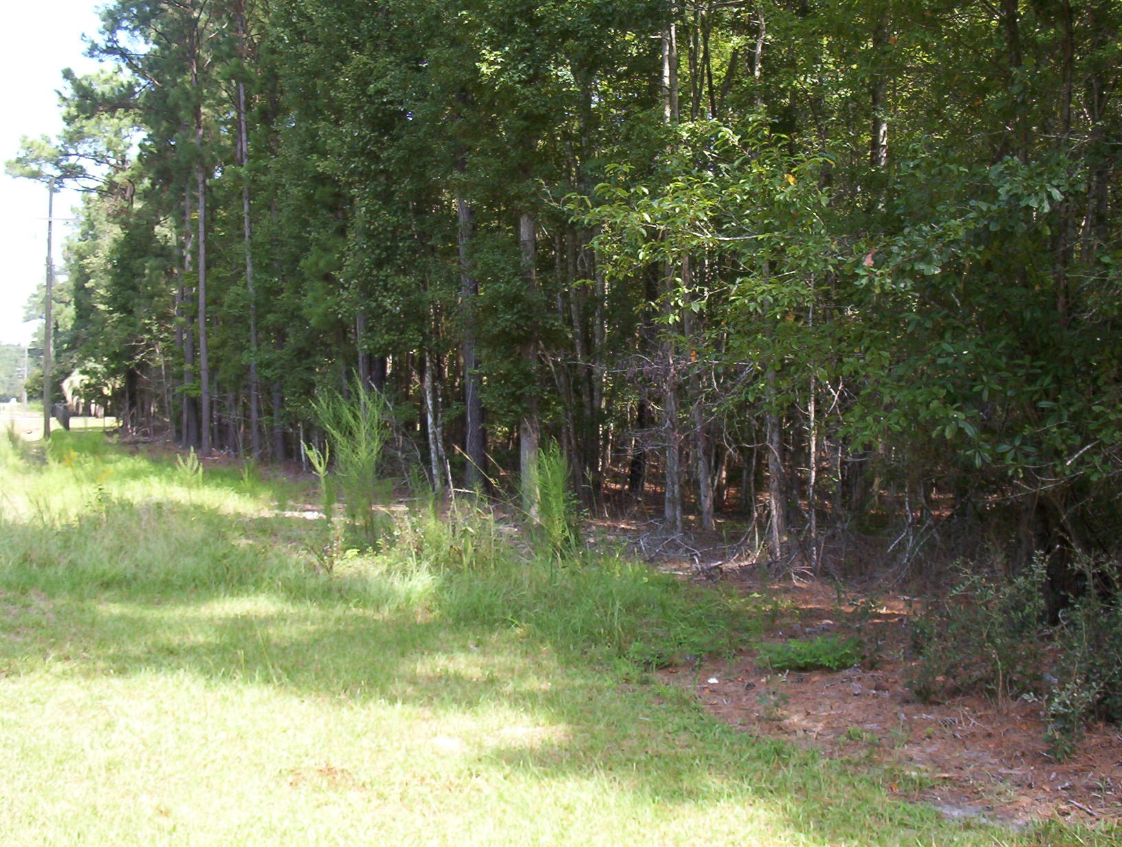23852 Low Country Highway Ruffin, SC 29475 - Photo 3 of 18 100_1290
