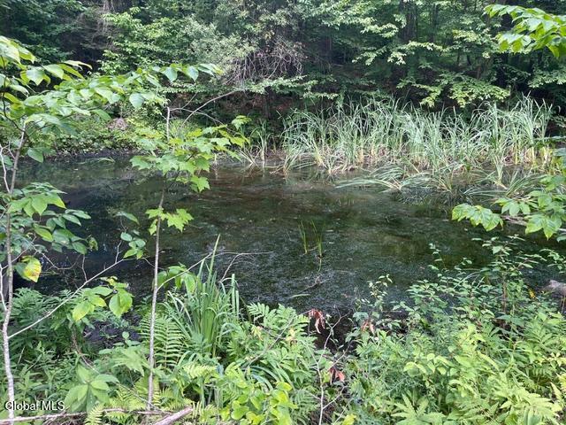 787 Stoney Lonesome Road Crown Point, NY 12928 - Photo 4 of 33 pond
