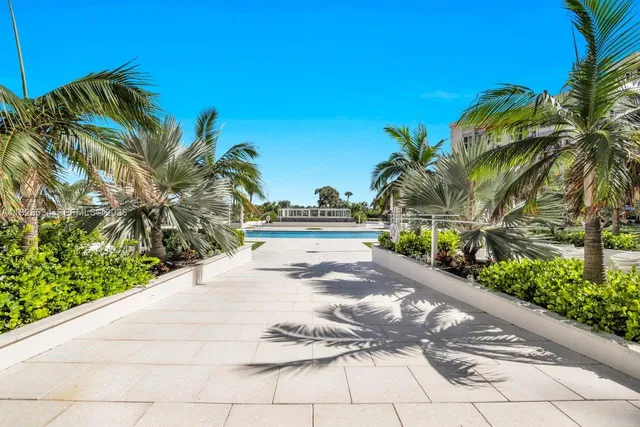 a view of a palm plant from a yard