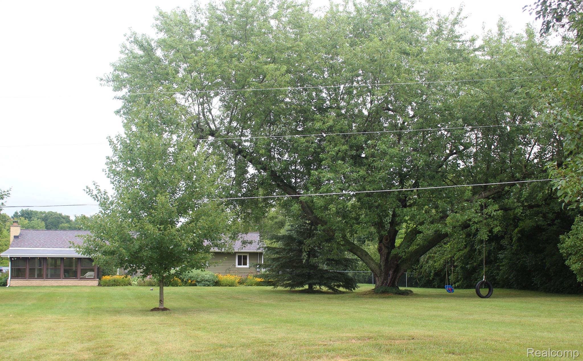 5691 Dexter-Pinckney Road Dexter, MI 48130 - Photo 32 of 34 Huge tree with tire swing