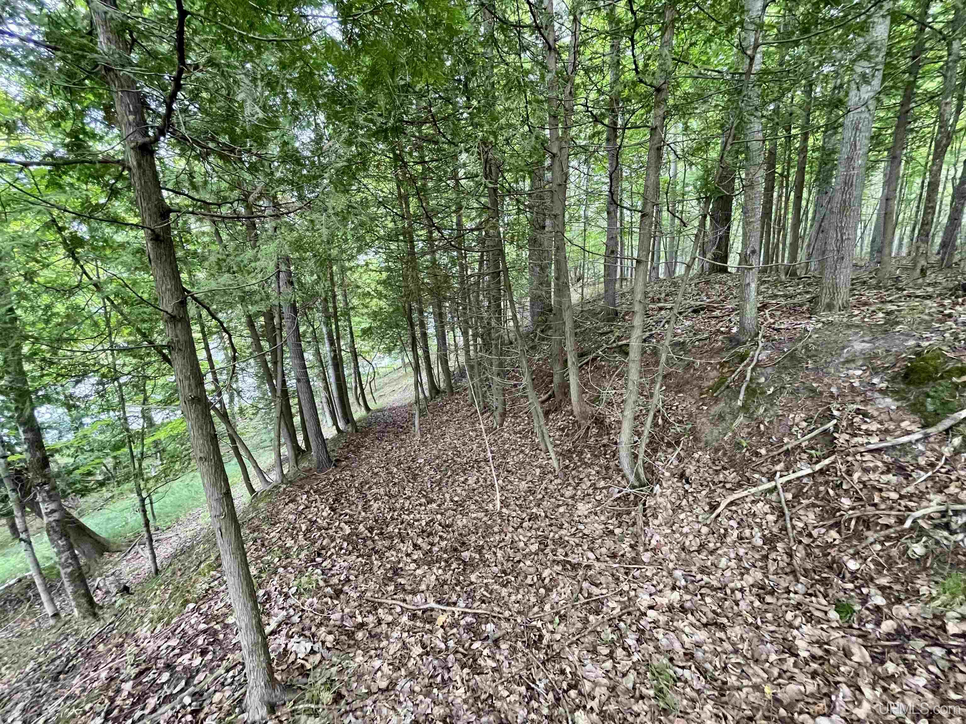 23.5 Rd Gladstone Mi 49837 Road Gladstone, MI 49837 - Photo 33 of 45