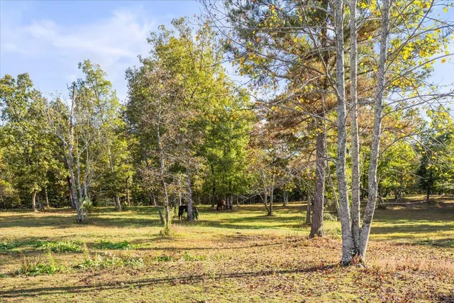 $1,050,000 | 2035 Sitton Mills Place, Signal Mountain, TN 37377