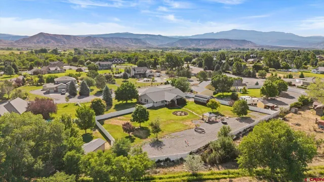 $795,000 | 20677 Tulip Circle, Montrose, CO 81403