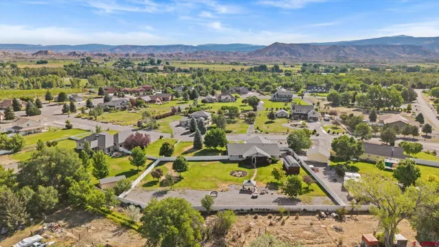$795,000 | 20677 Tulip Circle, Montrose, CO 81403