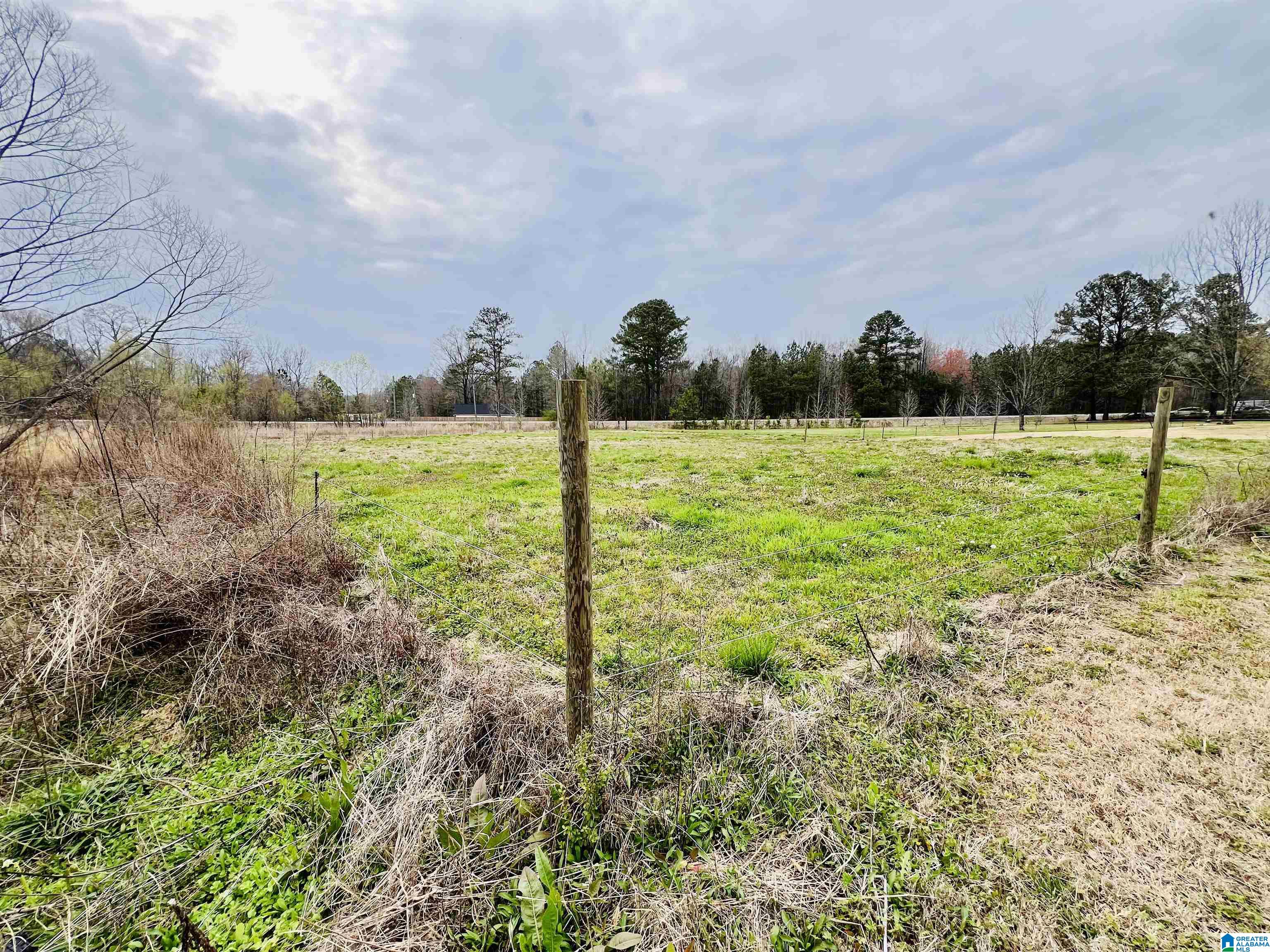1111 Baty Road Cleveland, AL 35049 - Photo 10 of 35