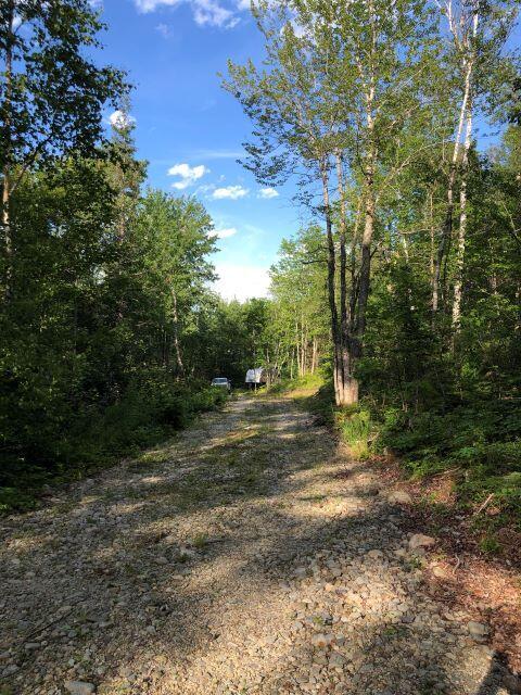 19 Foxtail Road Cherryfield, ME 04622 - Photo 27 of 43 RS-Campsite end of driveway