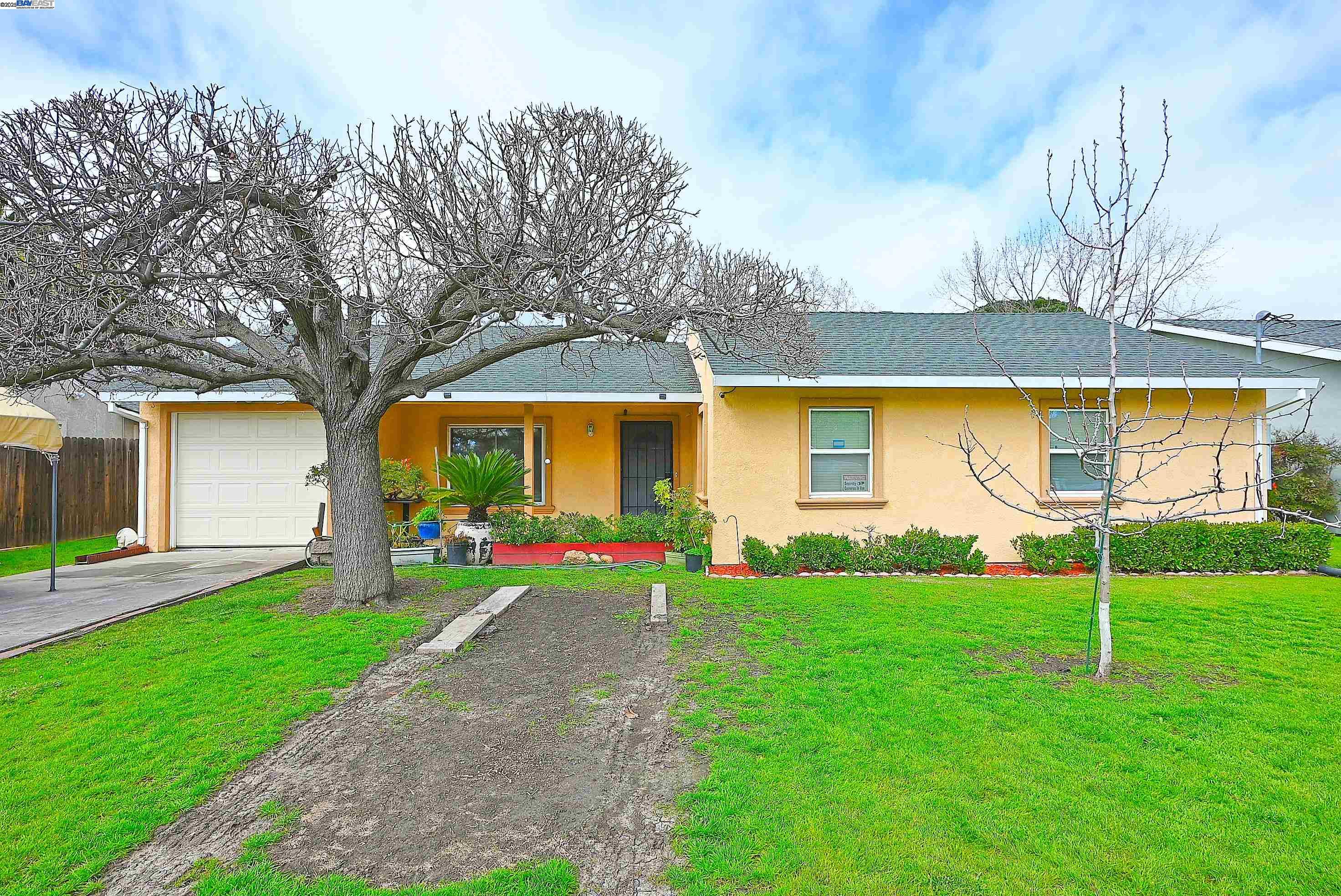 a view of a house with backyard and a tree