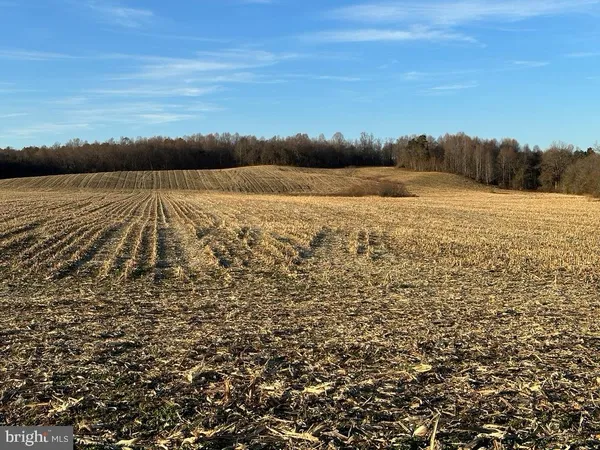$14,995,000 | 8184 Fox Groves Road, Remington, VA 22734