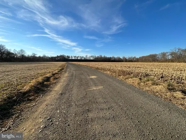 $14,995,000 | 8184 Fox Groves Road, Remington, VA 22734