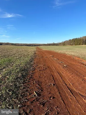 $14,995,000 | 8184 Fox Groves Road, Remington, VA 22734