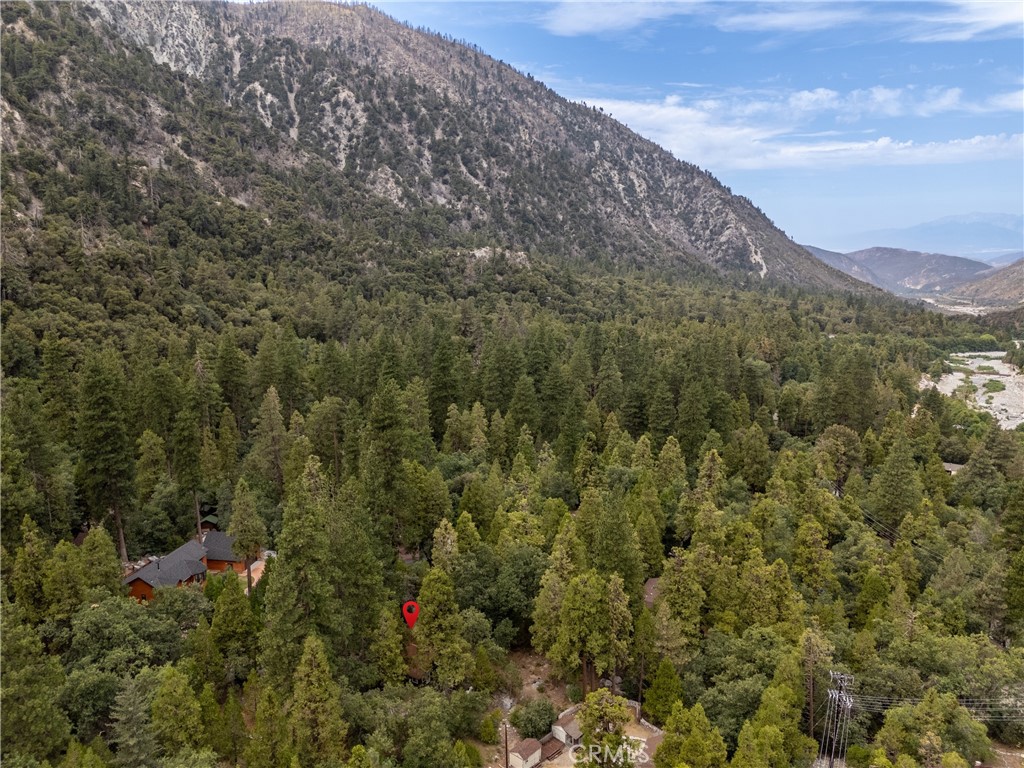 9165 Coffey Road Forest Falls, CA 92339 - Photo 24 of 31