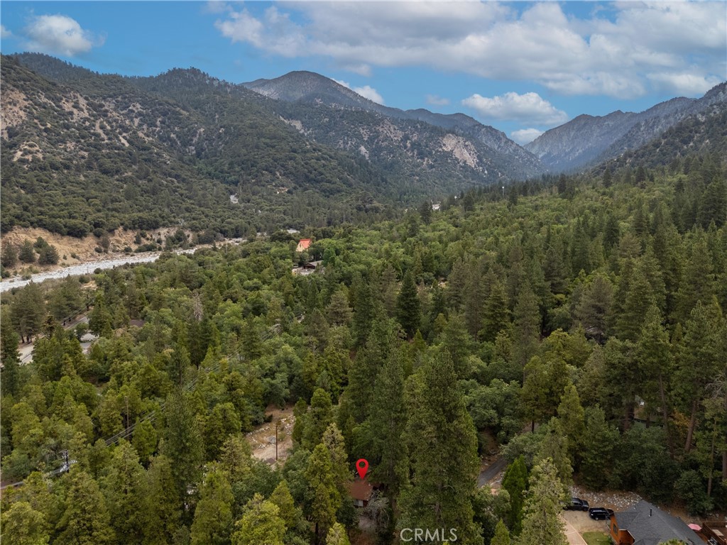 9165 Coffey Road Forest Falls, CA 92339 - Photo 25 of 31