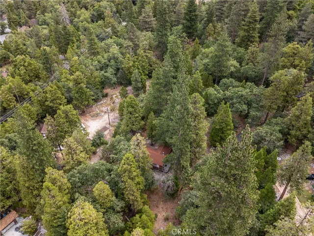 $315,000 | 9165 Coffey Road, Forest Falls, CA 92339